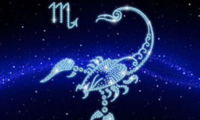 处女座喜欢分享（属羊的命好不好女人）