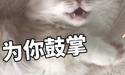 处女男多久可以追到金牛座女生（金牛男谈多久结婚）