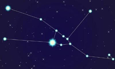 处女座的朋友是什么（白羊座跟什么星座最适合做朋友）