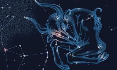 12星星座最怕什么（十二星座最怕什么鬼）