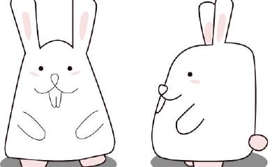 属兔人一生的贵人是什么属相（1975年属兔的贵人是什么属相）