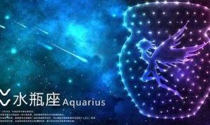 水瓶女对待爱情的态度（水瓶座男对待感情的态度）