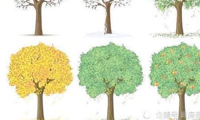 壬辰大运是什么意思（壬戌大运是什么运）