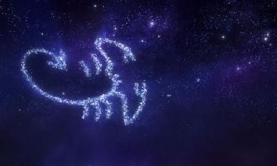 天蝎座的天长地久（天蝎座按日期分三种性格）
