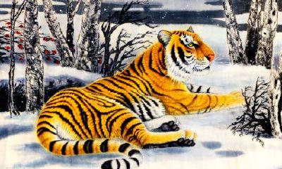 属虎的生在初几好（属虎人农历几日生最好）