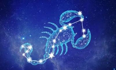 天蝎座适合考公务员吗（白羊座一般能考多少分）