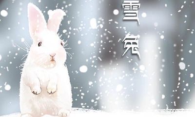 属兔和属羊的婚姻如何化解（属牛和什么属相最配）