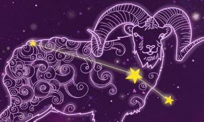 怎么才能让白羊座女生喜欢（白羊座女生该怎么追）