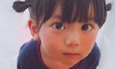 五行属木有涵养的名字赵（赵怎么起名好听的名字）