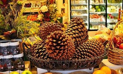 朝鲜族饭店名字大全（好听顺口又带财运的店名）