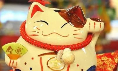 2023旺运又旺财的名字（带财运的名字）