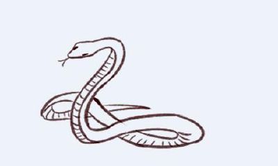 三月属鼠人的运势（3月属鼠的命运如何）