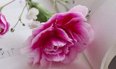 面相太老怎么办（额头太高面相）