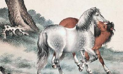 属马吉利数字男（1990属马的吉祥数字）