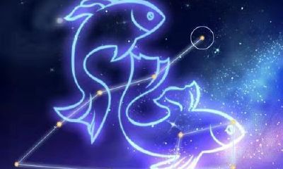 活最好的星座男排行榜（活得最好的星座女）