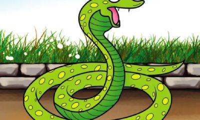 44岁属马78（78年属马40岁以后命运）