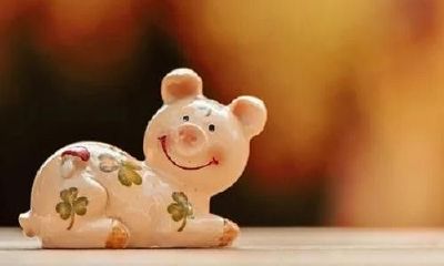 属猪人的三月运势（属猪的三月出生好不好）