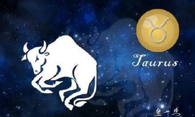 金牛座天生一对（金牛座合得来的星座）