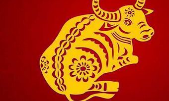 不怕本命年的属相（1996属鼠本命年女戴什么好）