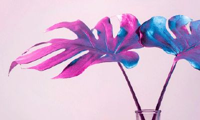 狮子座的霉运颜色是什么（狮子座的倒霉颜色是什么）