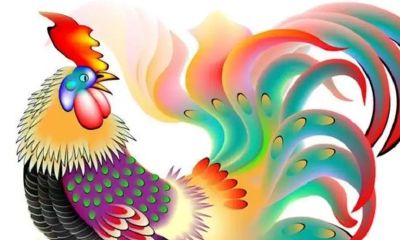 81年属鸡2023什么颜色最旺财（81年属鸡42岁2023有一灾）