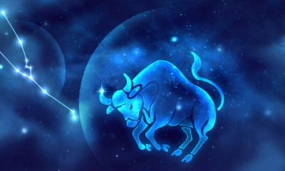 金牛座脑子里想什么（金牛座神奇的第六感）