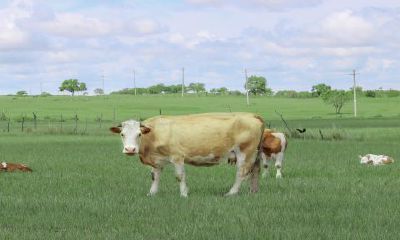 4月18号五行穿衣指南（今天的五行穿衣什么颜色最好）