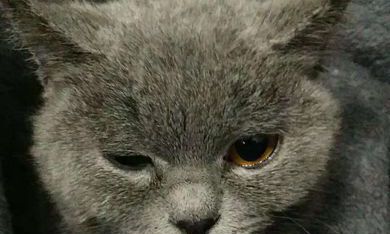 看着不好惹的面相（面相不好的人什么特征）