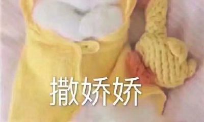 天蝎男和摩羯座女合适吗（摩羯男和天蝎女绝配）