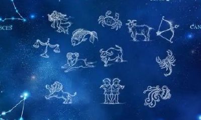 双子座适合投资吗（双子座适合做什么生意）