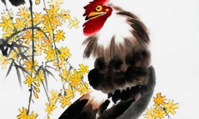 属鸡39岁什么命（属鸡的39岁有什么劫难）