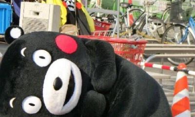 金牛男和天秤女在一起怎么样（为什么天秤女别碰金牛男）