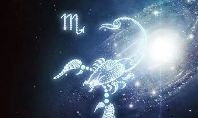 11月十二星座运势（射手座11月运势）