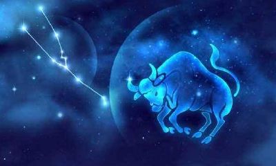 处女座和哪个星座可以成为最好的朋友（摩羯座最佳朋友星座）