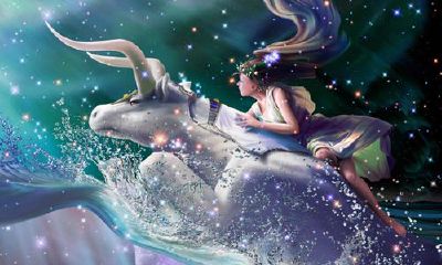 属牛男最佳婚配属相是什么属相（属鸡的最佳婚配属相）