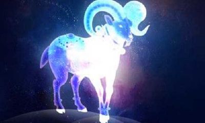 狮子男最佳配对星座（狮子座最配什么星座男生）