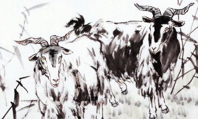 属羊女非常有野心（属羊女的是不是心好狠）