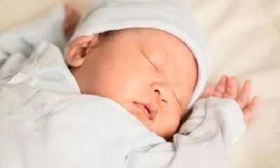 鼠年男孩起名字好寓意（属鼠寓意好的名字）