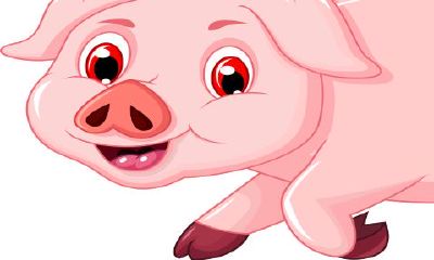 98年属虎人适合住几层（1998年属虎适合住楼层）