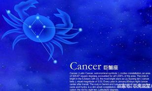 狮子座到底有多执着（狮子男喜欢你的暗号）