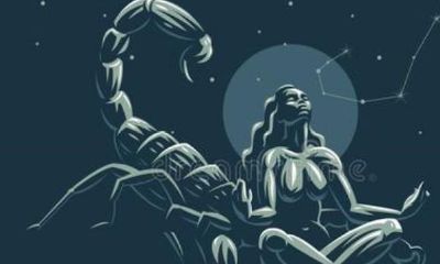 哪个星座和射手座配对（射手座和射手座配吗）