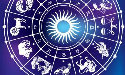 星座要看出生那一年的吗（星座是按生日还是出生年月）