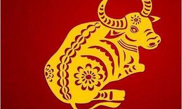 今年属牛幸运色是什么颜色（紫色是属牛的幸运色吗）