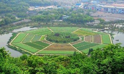 周易古诀找失物准吗（预测失物掌诀）
