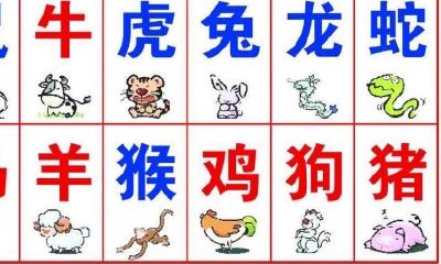 属鼠女和什么生肖配对（96鼠跟什么属相配）