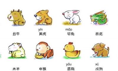 属兔人是哪一年生的（属猪的是几几年生人）