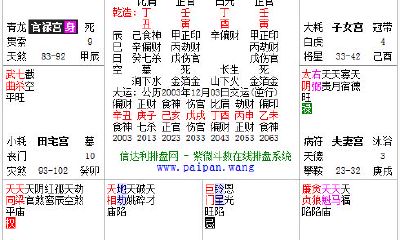 紫微斗数巨门星含义（紫微斗数命宫看谁漂亮）