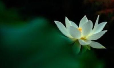 佛经中取名字（天蝎座几月几日出生农历）