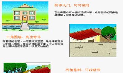 风水上院子里有几棵树好（院子里种啥树比较好风水）