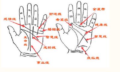 手掌女字纹手相（四方纹手相图解）